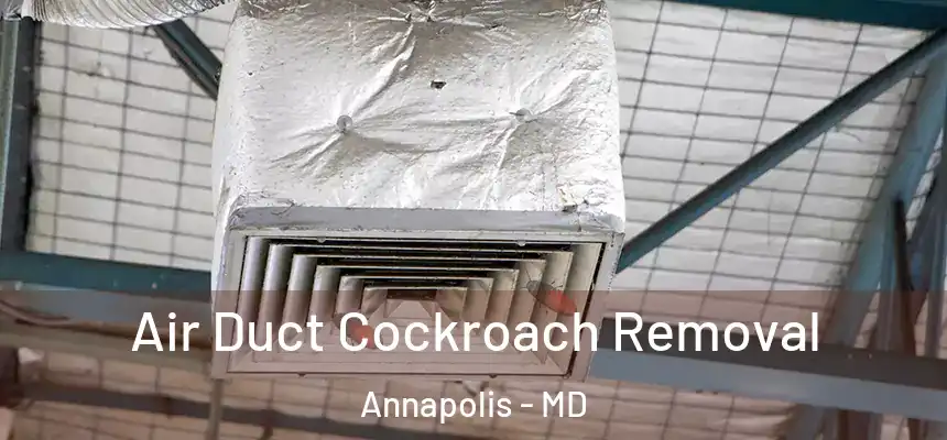  Air Duct Cockroach Removal Annapolis - MD