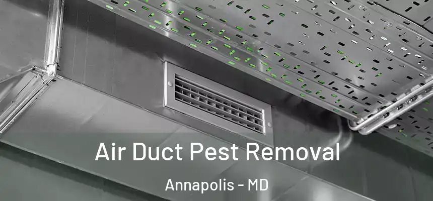  Air Duct Pest Removal Annapolis - MD