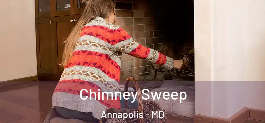  Chimney Sweep Annapolis - MD