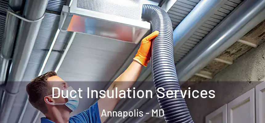  Duct Insulation Services Annapolis - MD