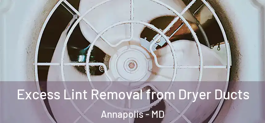  Excess Lint Removal from Dryer Ducts Annapolis - MD