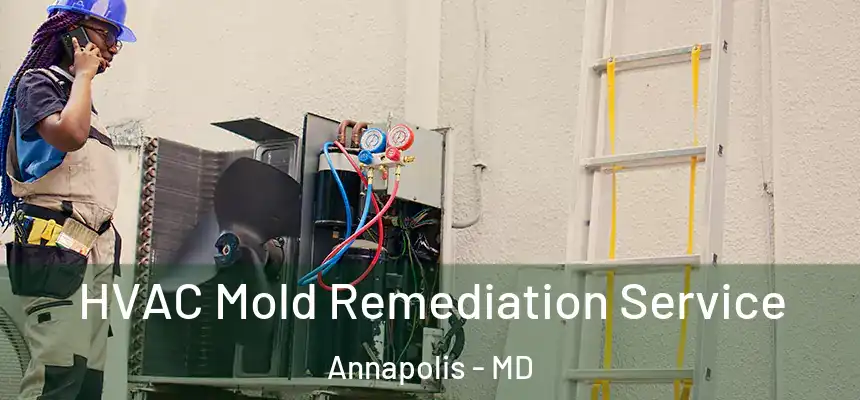  HVAC Mold Remediation Service Annapolis - MD