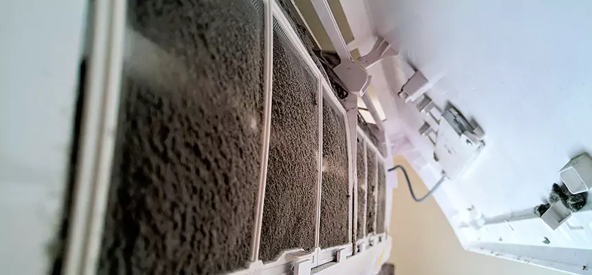 Preventive Air Duct Bacteria Removal in Annapolis