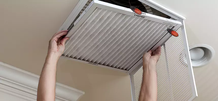 Preventive Cockroach-Proofing for Ducts in Annapolis