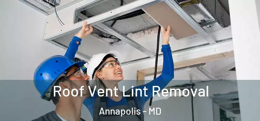 Roof Vent Lint Removal Annapolis - MD