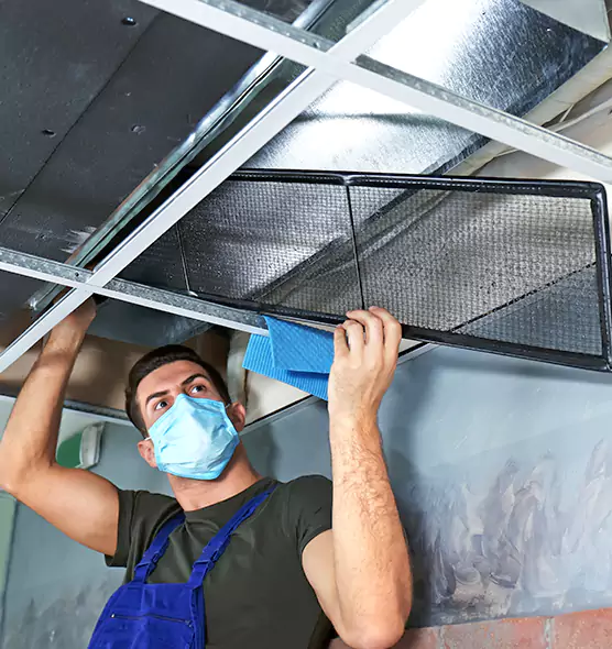 Professional Air Duct Pollen Cleaning in Annapolis, MD