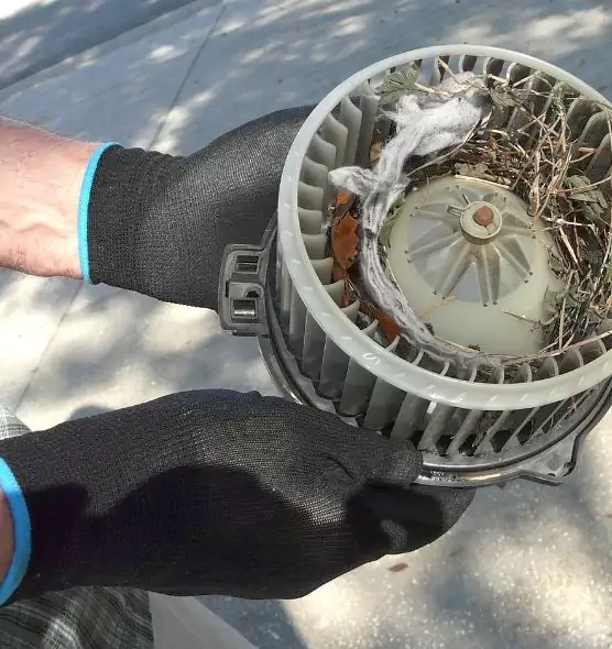 About Air Duct Rat Removal in Annapolis, MD