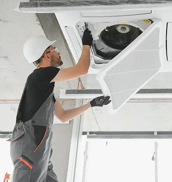 About Air Duct Rodent Removal in Annapolis, MD