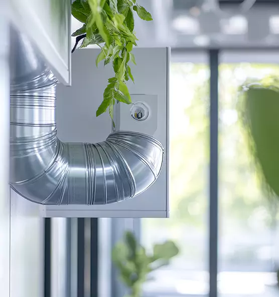 Professional Eco-Safe Dryer Vent Cleaning in Annapolis, MD