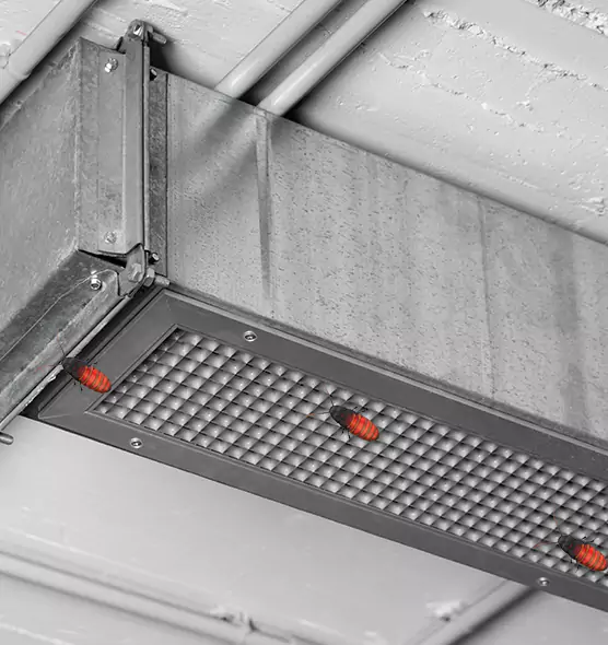 Affordable Insect Removal from Air Ducts in Annapolis, MD
