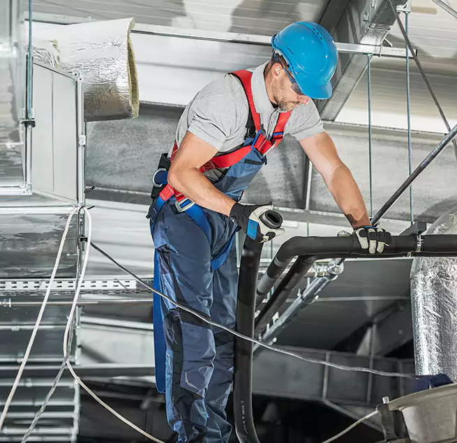 Why Homeowners & Businesses Trust Us in Annapolis, MD?