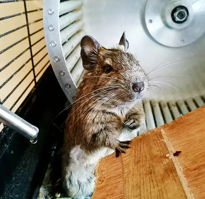 Why Homeowners & Businesses Trust Us Annapolis, MD