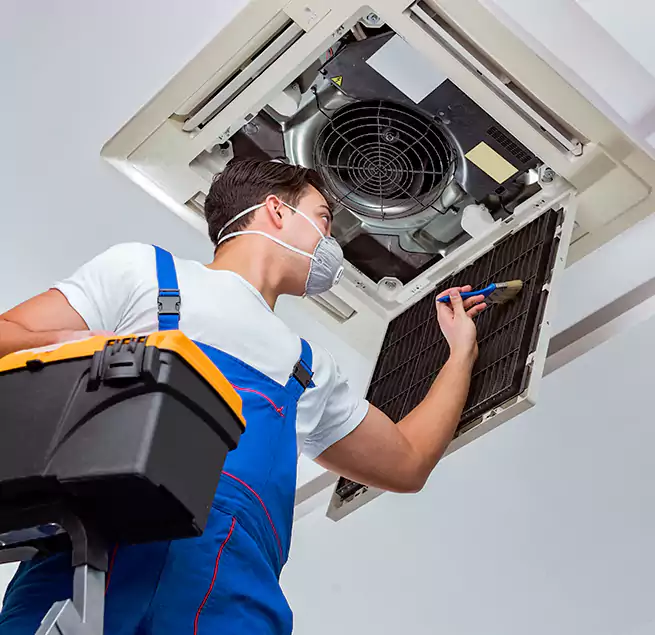 Why Homeowners & Businesses Trust Us in Annapolis, MD