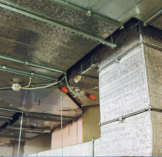 Why Homeowners & Businesses Trust Us Annapolis, MD?